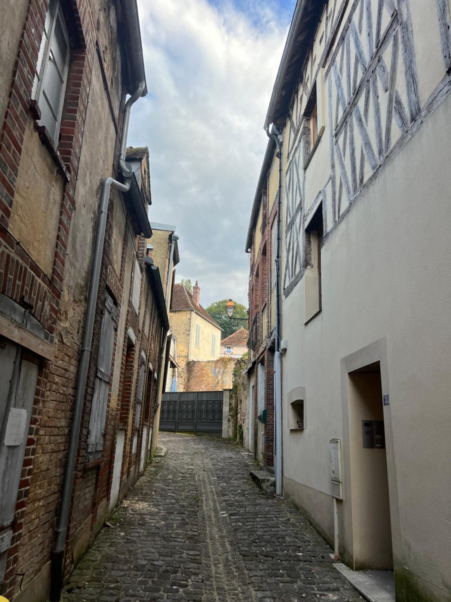 Le Citadin Bourguignon Guest House Toucy Luaran gambar